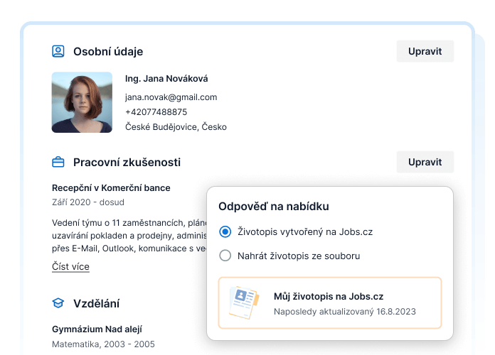 Profesionální šablona životopisu
