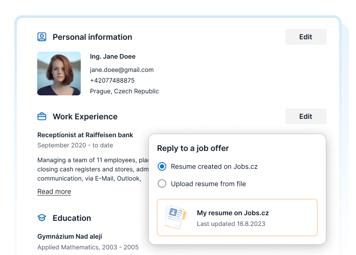 Professional resume template